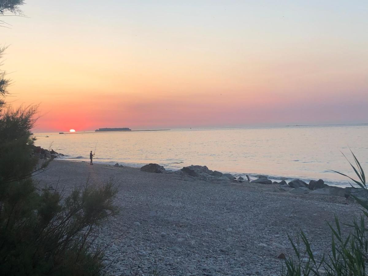 Sur Le Chemin De La Plage 셰르부르 앙 코탱탕 외부 사진